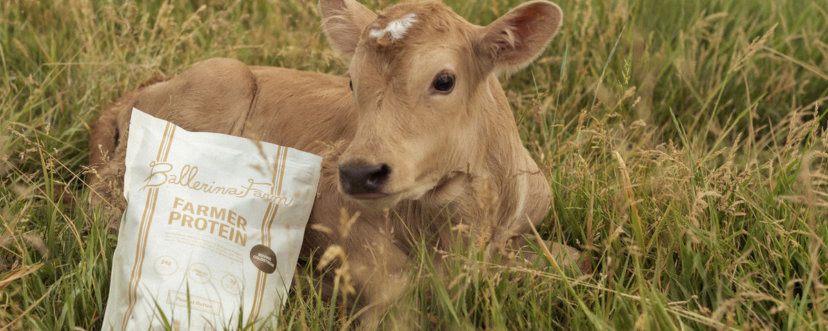 Meet Peanut Butter Farmer Protein