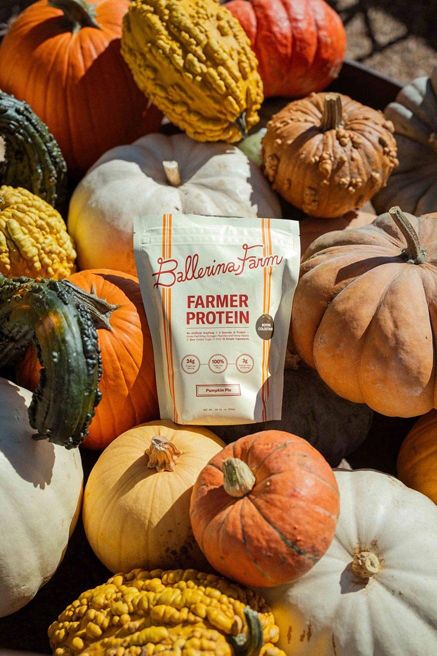 Pumpkin Pie Farmer Protein